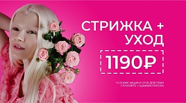 Стрижка + уход 